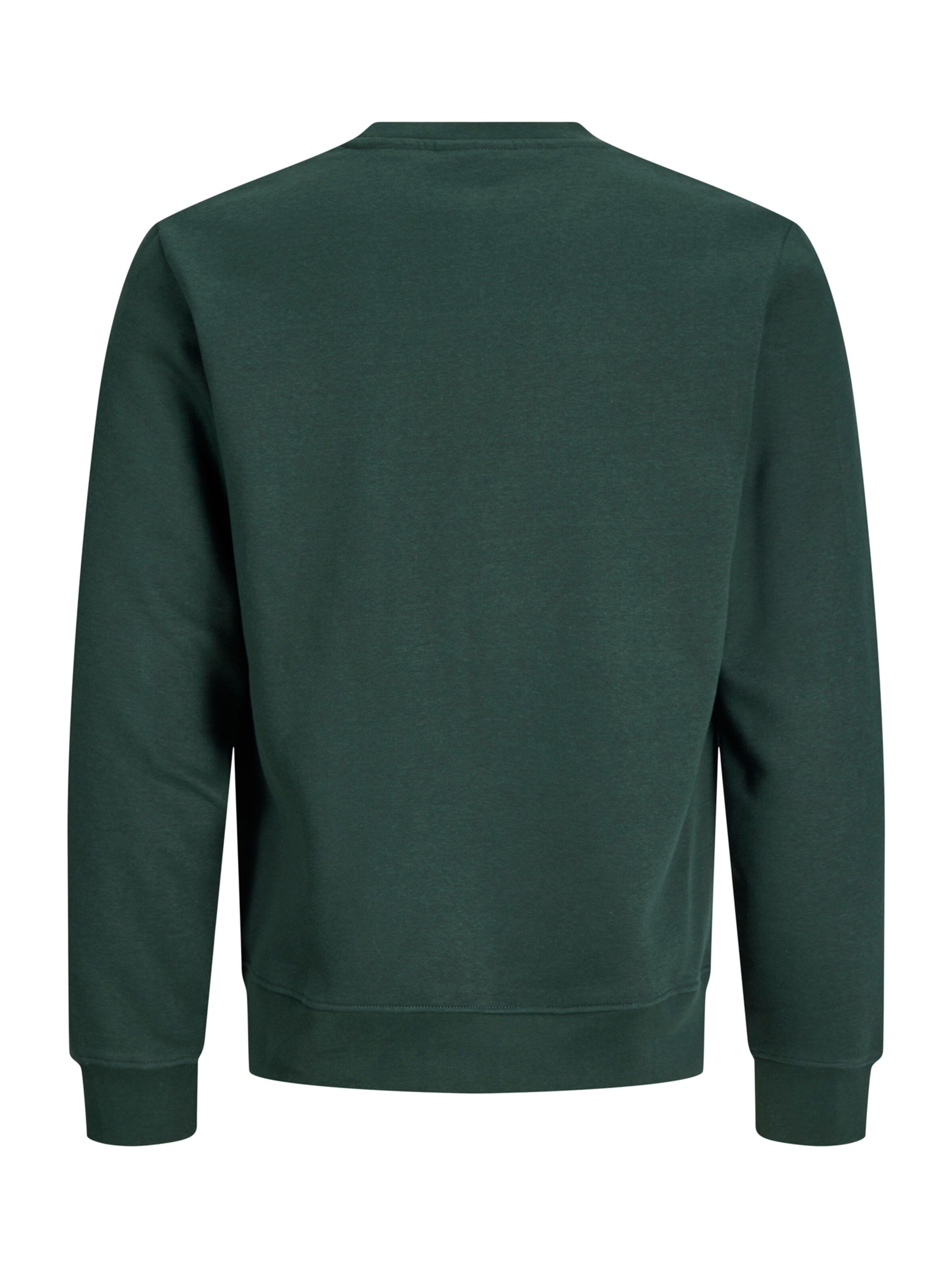 JACK & JONES Dressipluus 'JJMERRY SKULL XMAS', värv roheline