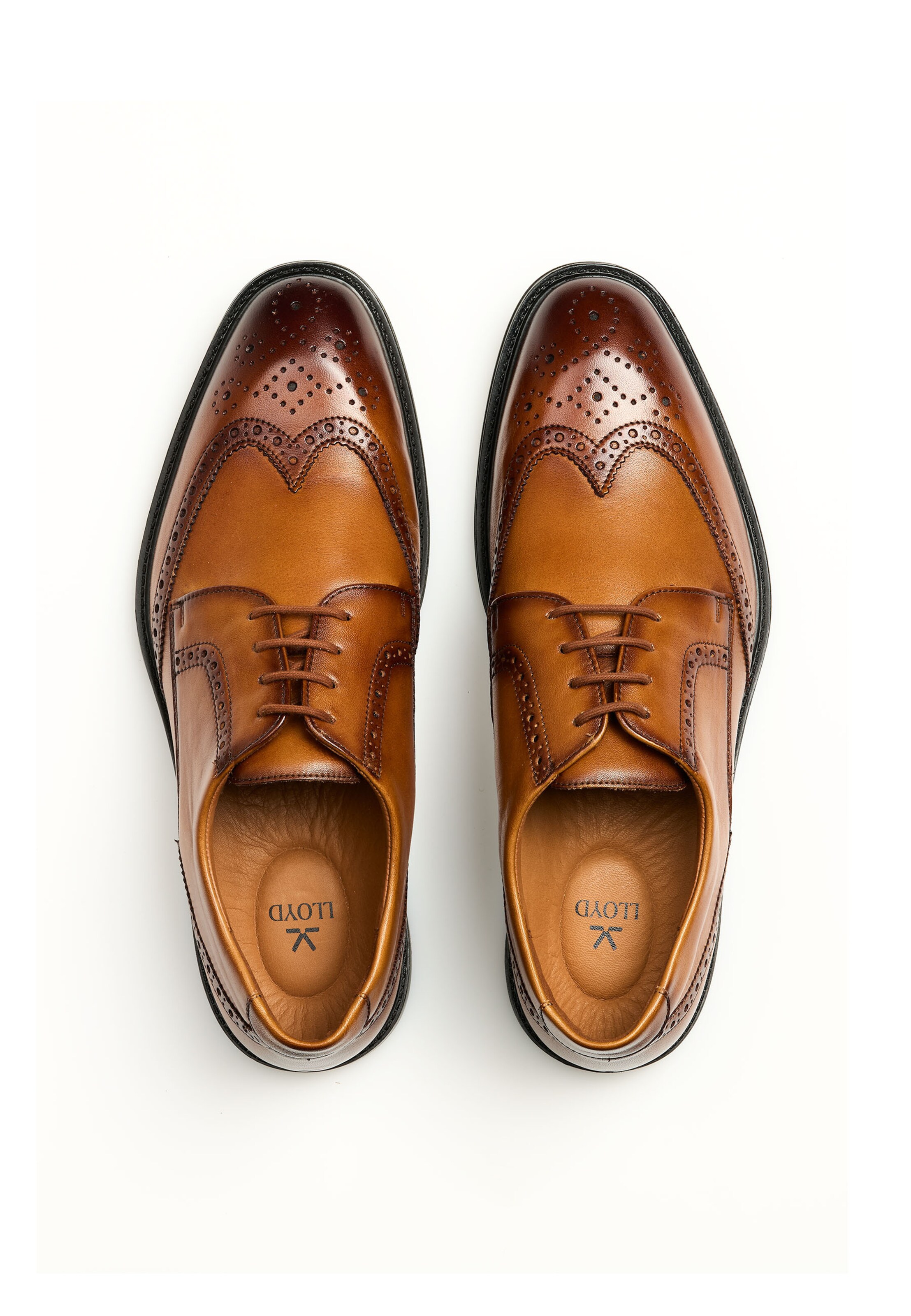 Chaussure à lacets LLOYD en marron