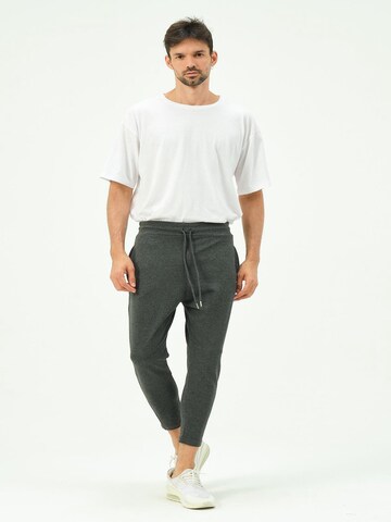 C&City Tapered Pants in Grey: front