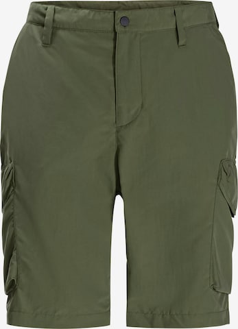 JACK WOLFSKIN Regular Outdoor Pants 'KALAHARI' in Green: front