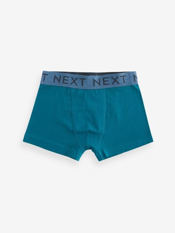 Next Onderbroek in Blauw