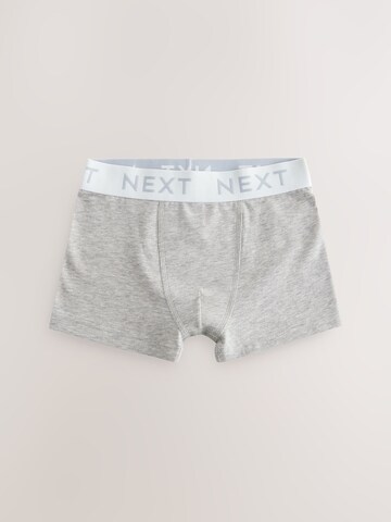 Next Underpants in Mixed colors