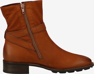 Paul Green Ankle Boots in Brown