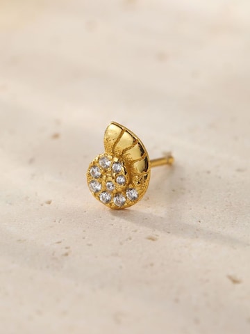 Hey Happiness - Pendientes 'Nautilus Shine' en oro