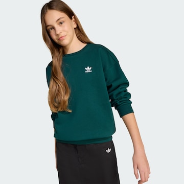 ADIDAS ORIGINALS Sweatshirt in Green