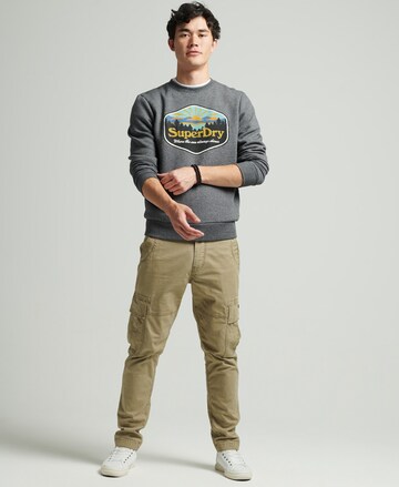 Superdry Sweatshirt in Grijs