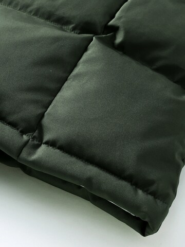 ALLTHEMEN Winter Coat 'Flaum' in Green