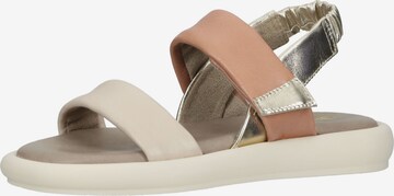 Sandales IGI&CO en beige : devant