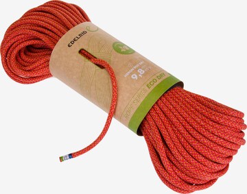 Edelrid Rope 'Heron' in Orange: front