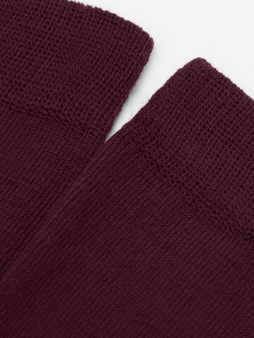 CALZEDONIA Socken in Rot