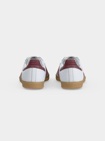 ADIDAS ORIGINALS Низкие кроссовки 'SAMBA OG' в Белый