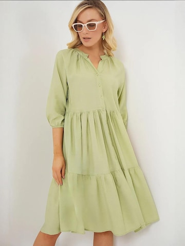 Bigdart Dress in Green