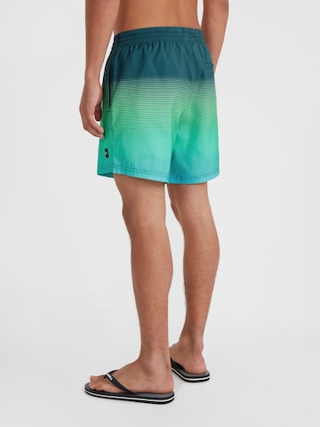 O'NEILL Bathing trunks in Mixed colours
