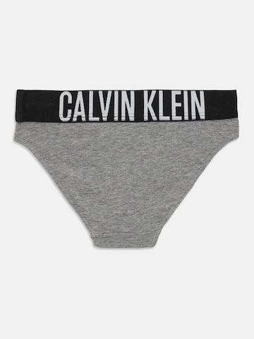 Calvin Klein Underwear Трусы 'INTENSE POWER' в Серый