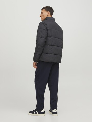 JACK & JONES Winterjas in Zwart