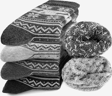 Occulto Socks 'Bille' in Grey: front