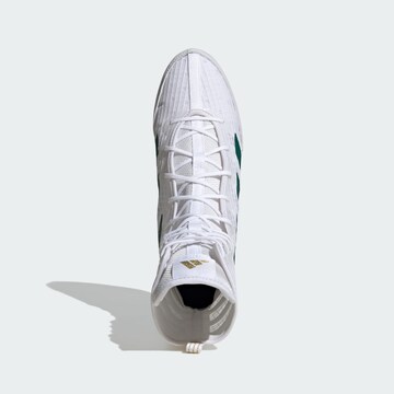 ADIDAS PERFORMANCE Sports shoe 'Box Hog 4' in White