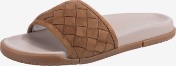 Candice Cooper Mules in Brown: front