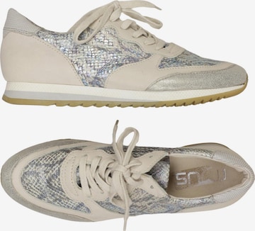 MJUS Sneaker 42 in Mischfarben: Vorderseite
