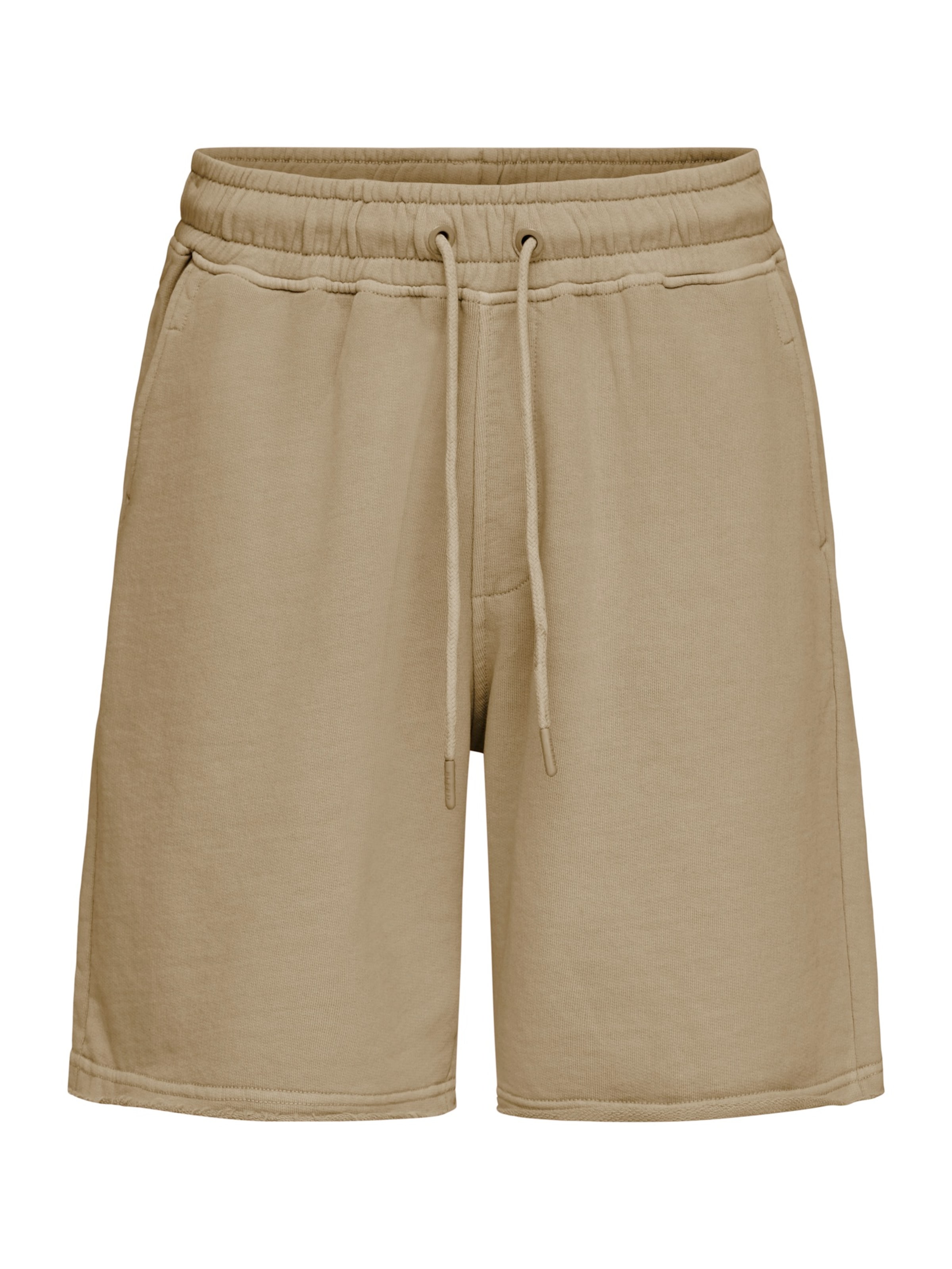 BLEND - regular Pantalón 'BHFACTOR' en marrón: frente