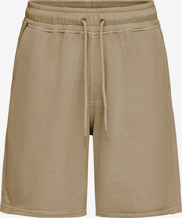 BLEND - Pantalón 'BHFACTOR' en marrón: frente