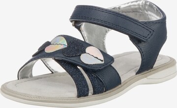 Sprox Sandals in Blue: front