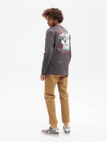 hydroponic - Tapered Pantalón 'Hydroponic Frontier Regular-Fit Jogger Trousers' en marrón