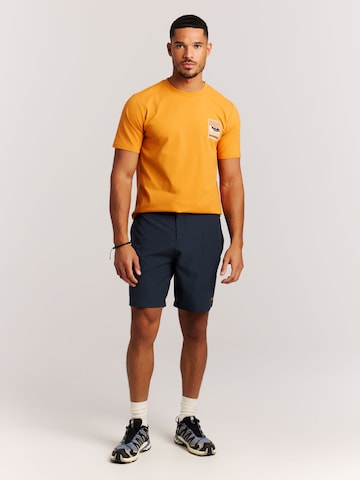 PROTEST Regular Pants 'PRTBarwick' in Blue