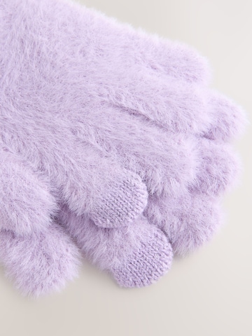Next Gloves in Purple