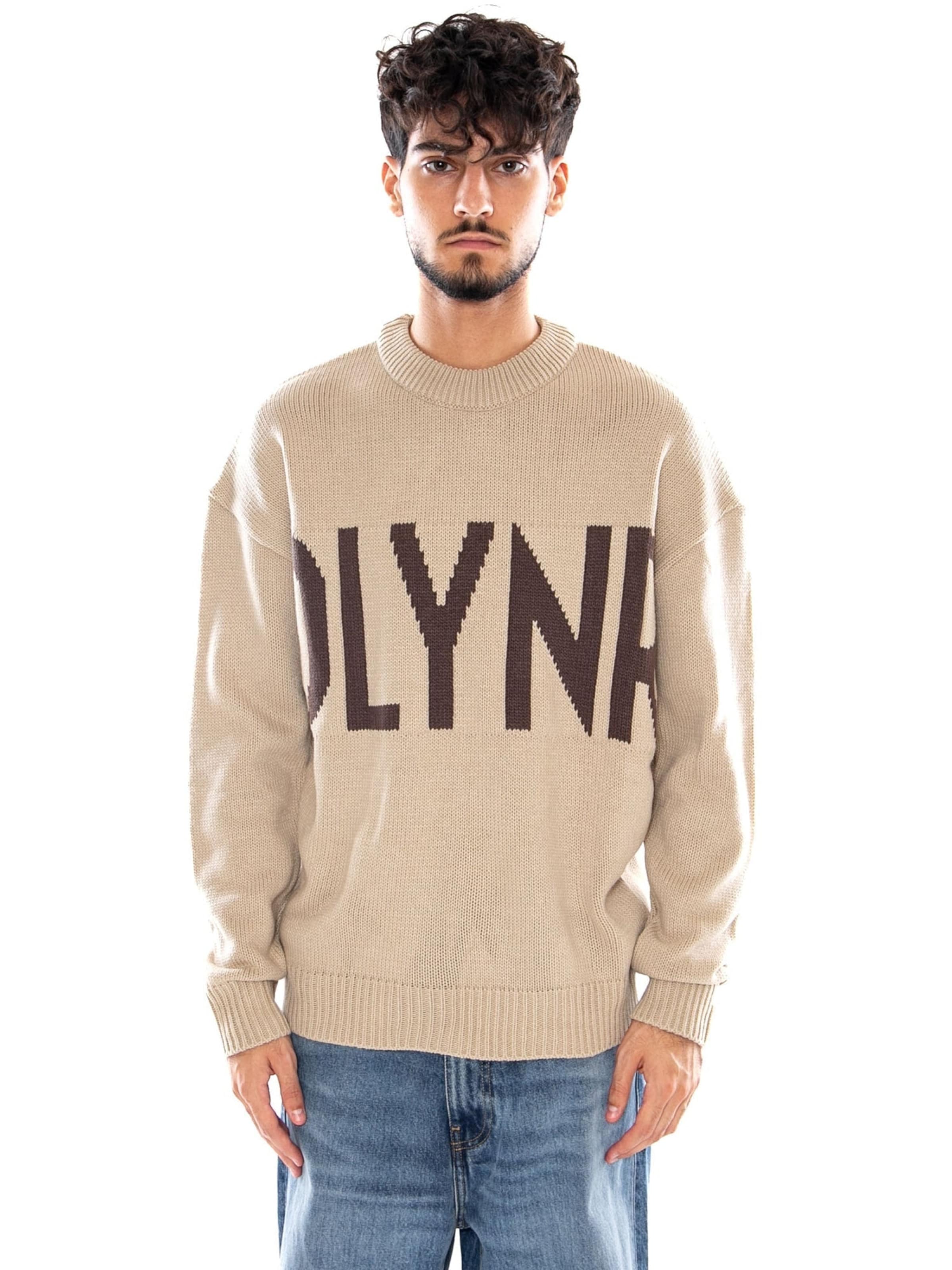 Pullover 'DLYNR SWEATER BLACK' di DOLLY NOIRE in beige