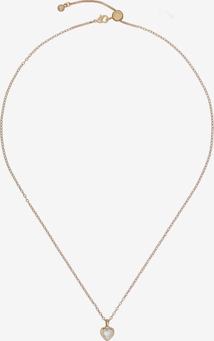 Ted Baker Necklace in Gold: front
