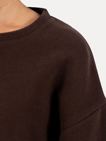 Smilodox Shirt in Bruin