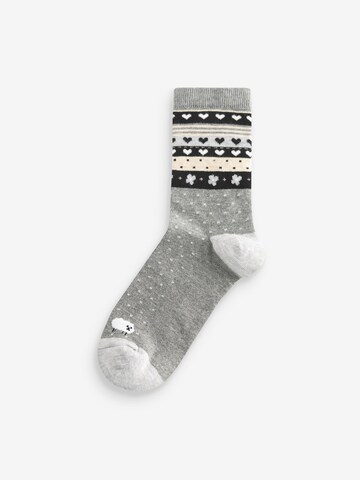 Next Socken in Mischfarben