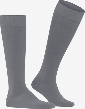 FALKE Knee High Socks 'Energizing Wool' in Grey: front