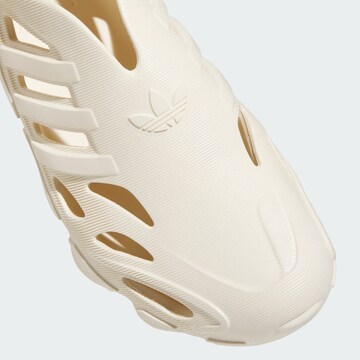 ADIDAS ORIGINALS Sandal in White