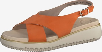 Paul Green Strap Sandals in Orange: front