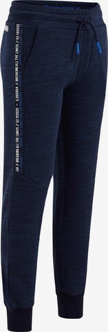 WE Fashion Regular Pants in Blue