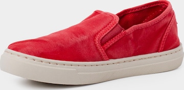Pisamonas Sneakersy w kolorze czerwony: przód