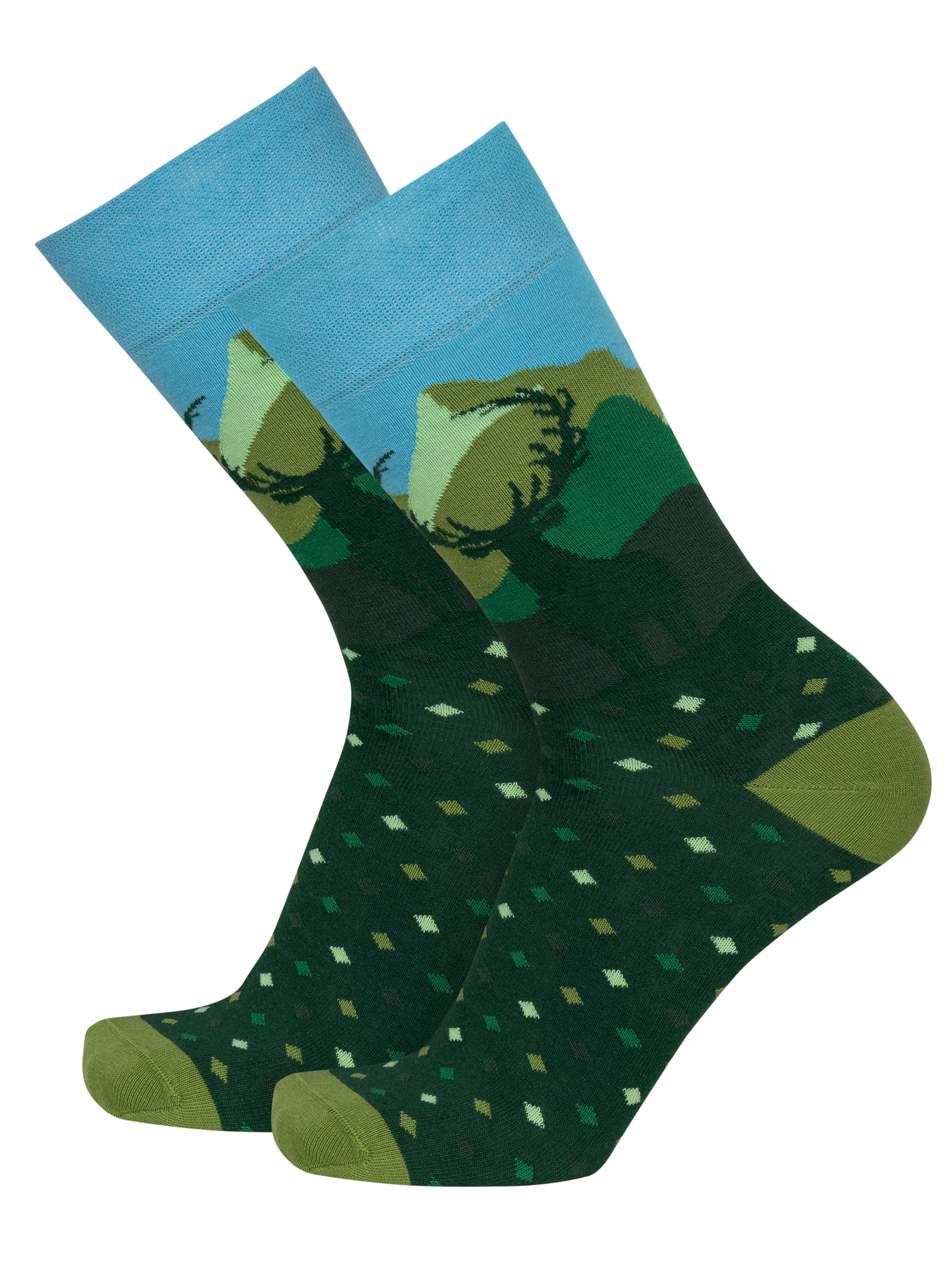 Circle Five Socken‌‌‌‌‌ in Grün