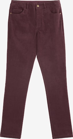 Seasalt Cornwall Regular Housut 'Lamledra' värissä ruskea: etupuoli