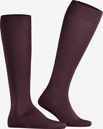 FALKE Knee High Socks 'ClimaWool' in Red: front