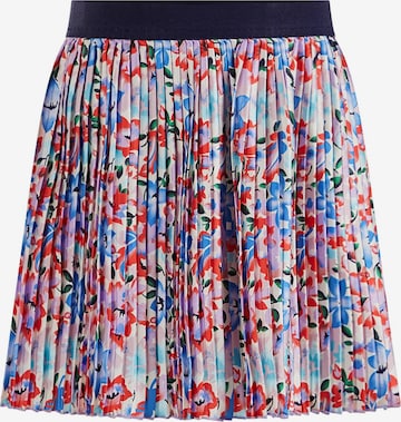 WE Fashion Skirt in Mixed colours: front