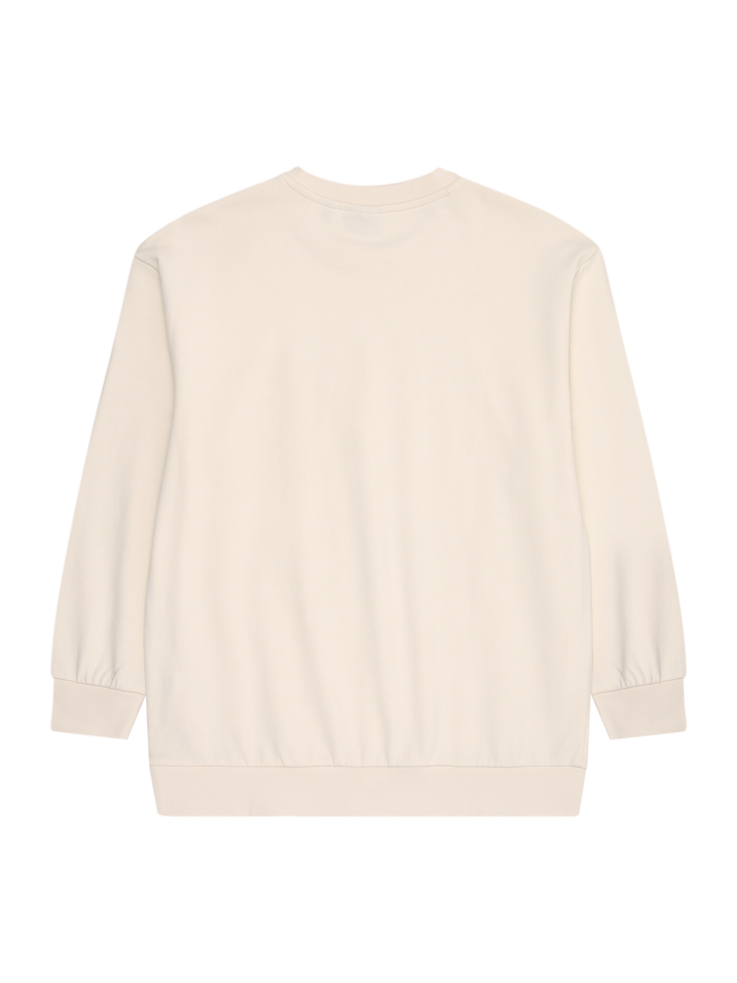 Only & Sons Junior Sweatshirt 'OSJROAD' i beige