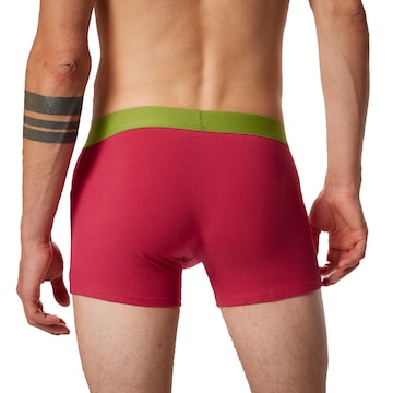 Boxer di BRUNO BANANI in verde