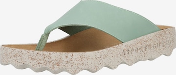 Tongs Asportuguesas en vert : devant