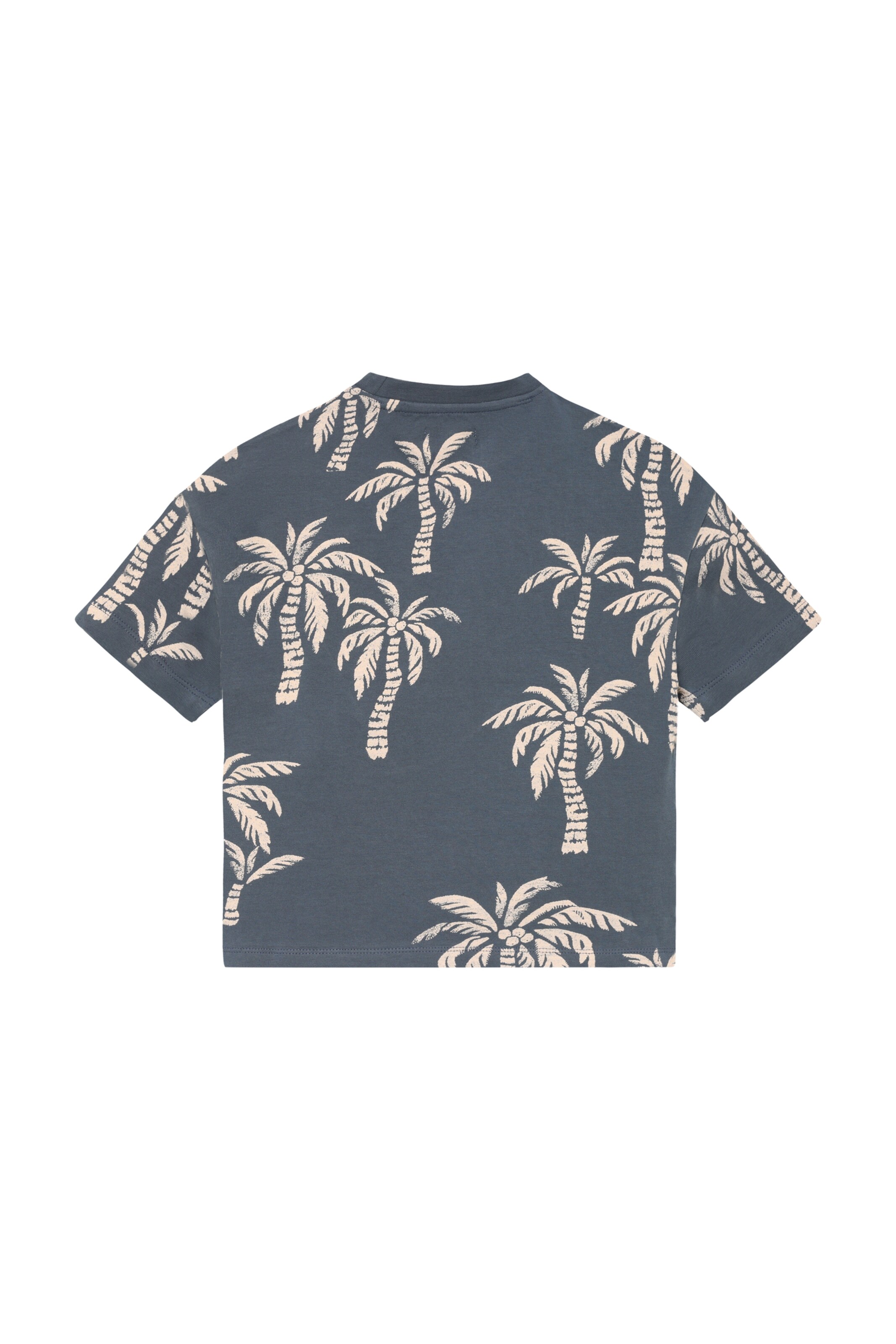 Noppies Shirt in Blue