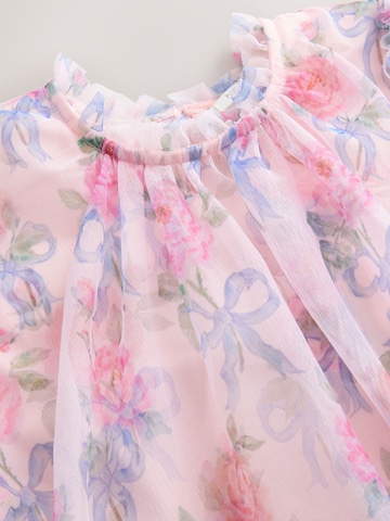 Next Dress in Pink
