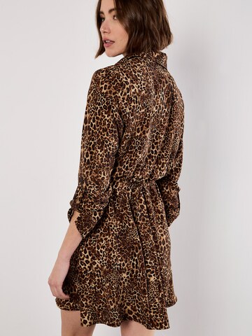 Robe ' ' Apricot en marron
