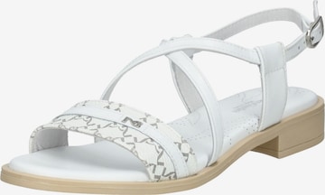 Sandales à lanières Nero Giardini en blanc : devant