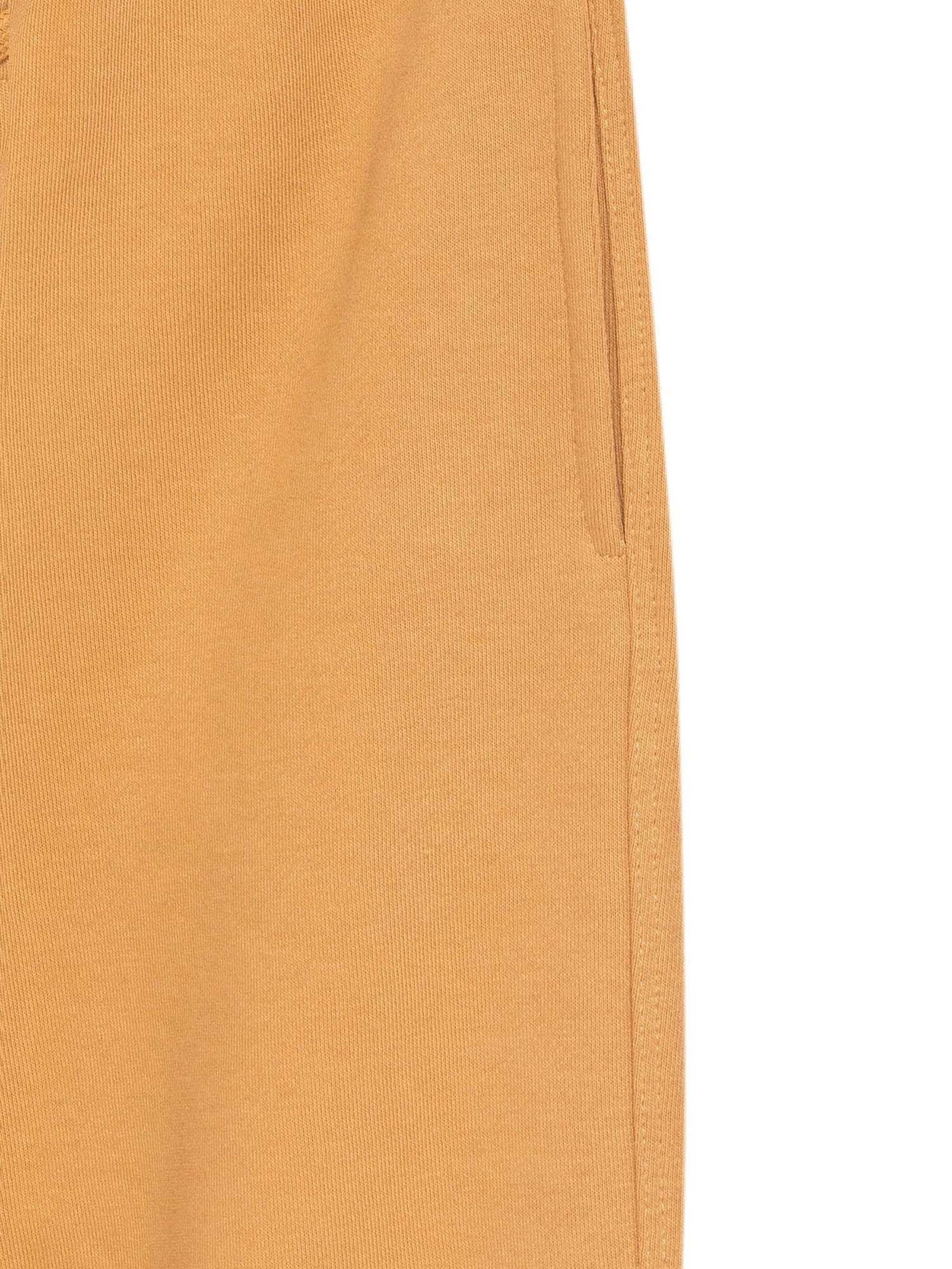 Williot Tapered Trousers in Brown